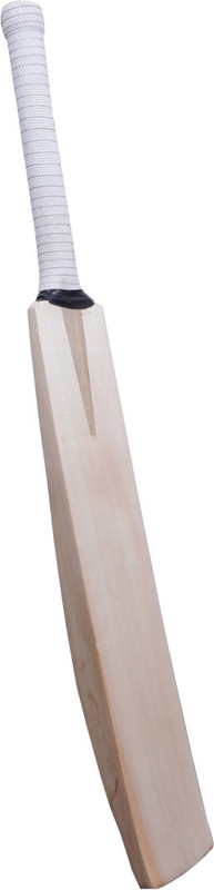 exton PLAN SH Cricket Bat Kashmir Willow Cricket  Bat(1.11 kg)