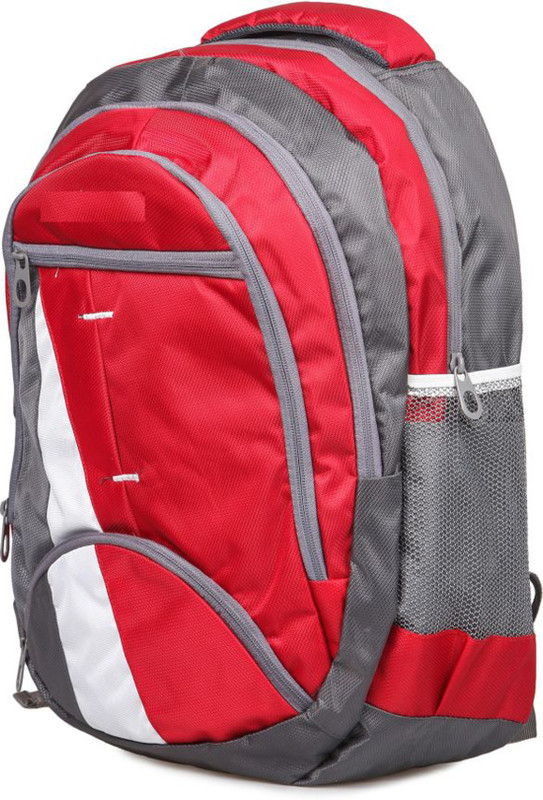 somy College Bags Travel Office School Unisex 25 L Laptop Backpack(Red)