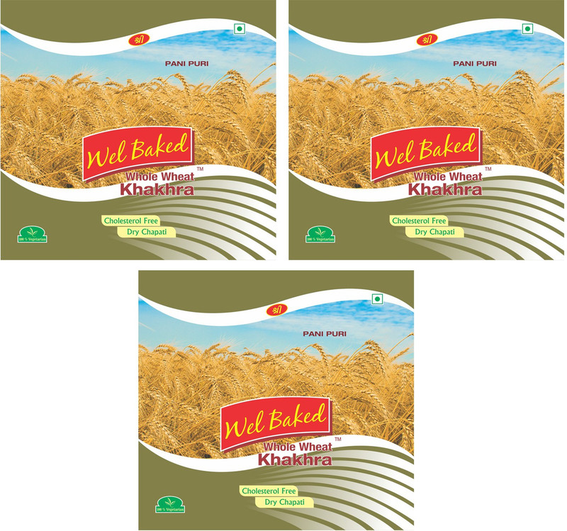 wel baked PANI PURI Khakhra (Pack of 3)(Pack of 3, 3 x 200, 600 g)