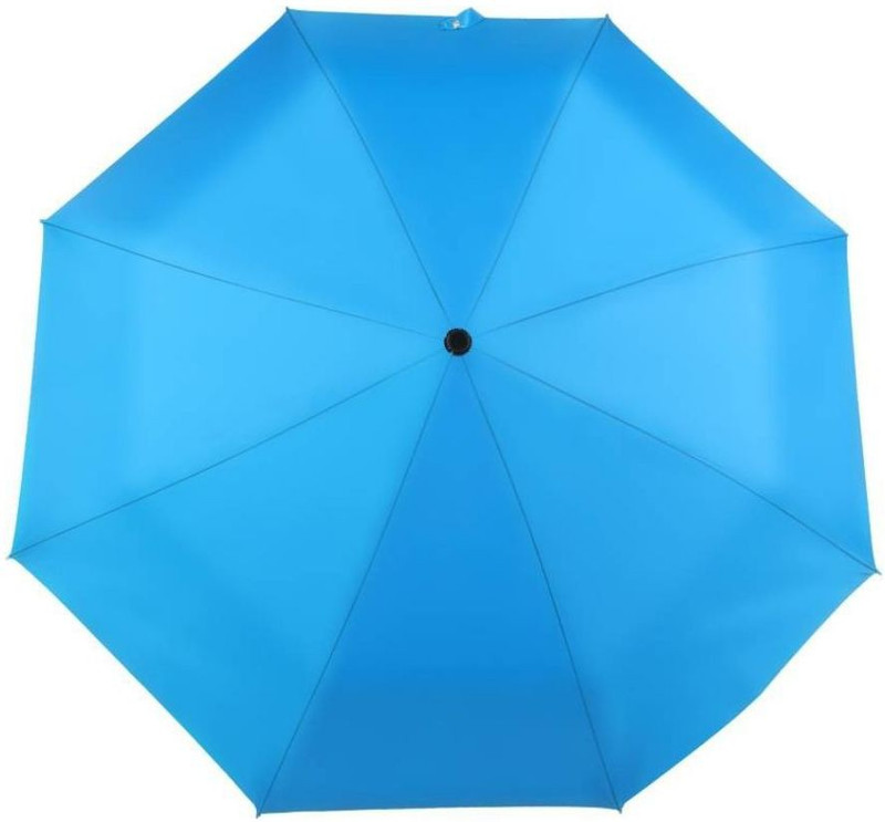 pgtreding 2 Fold Auto Open Nylon Umbrella Umbrella(Blue)