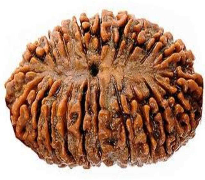 om rudraksha 21 mukhi rudraksha nepali Wood Pendant