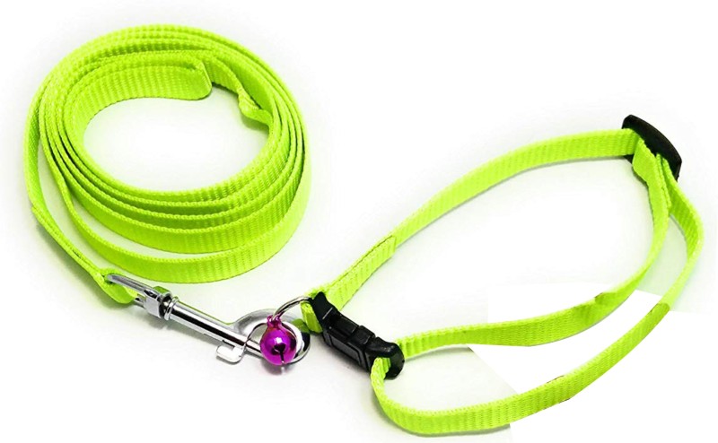 S.Blaze GOOD QUALITY 1/2 INCH GREEN DESIGNED BELT FOR YOUR PUPPY Dog Leash(Medium, MULTI COLOR)