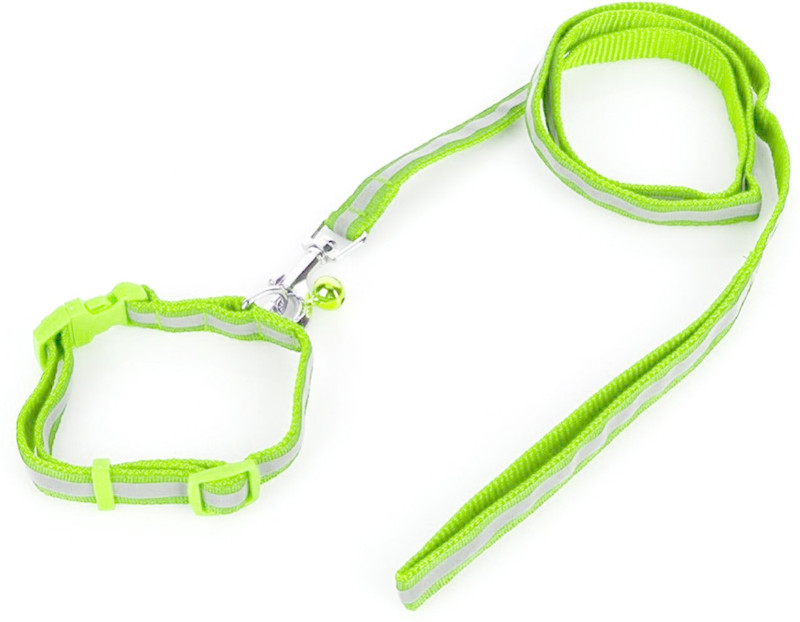 Jainsons Pet Products Leash and Collar 120 cm Dog Strap Leash(Green)