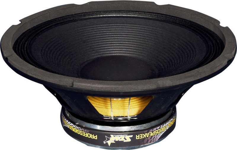 Star professional store speaker price