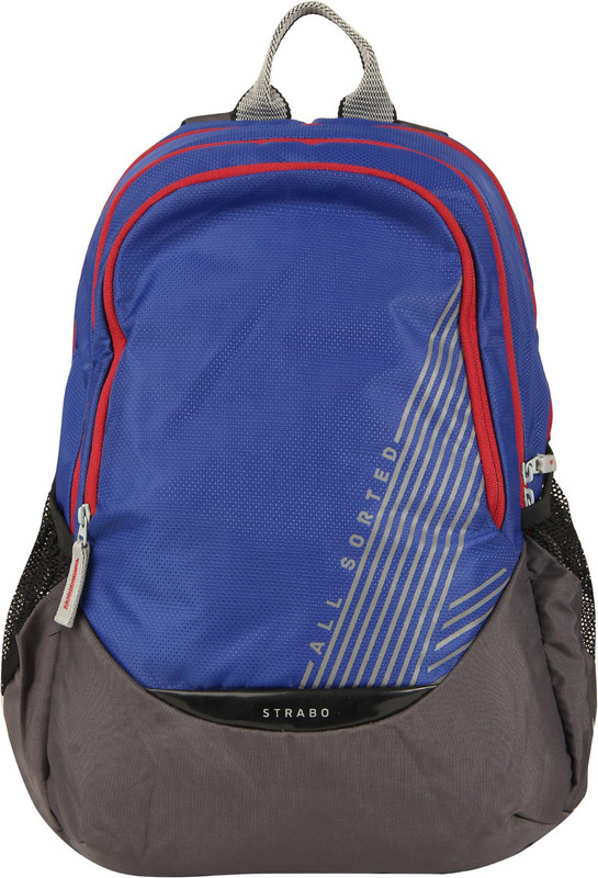 STRABO Backpack Pal Blue 35 L Multipurpose Bag(Blue, 35 L)