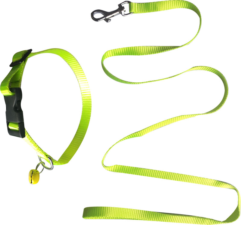 S.Blaze GOOD QUALITY 1/2 INCH GREEN DESIGNED BELT FOR YOUR PUPPY & SMALL DOG COLLAR BELT, Dog Collar & Leash(Medium, MULTI COLOR)