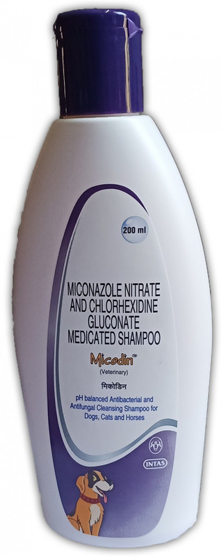 Intas crusty Micodin Shampoo for