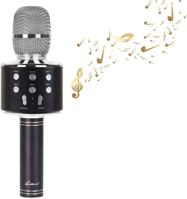 little monkey Rechargeable (BLACK) Wireless Karaoke Inbuilt Speaker with Audio recording and Bluetooth Microphone WIRELESS(Multicolor)