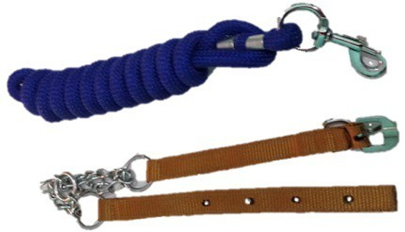 Pethub PB112PCROPWCOLBRNBLU Embellished Dog Collar Charm(Brown, Solid)