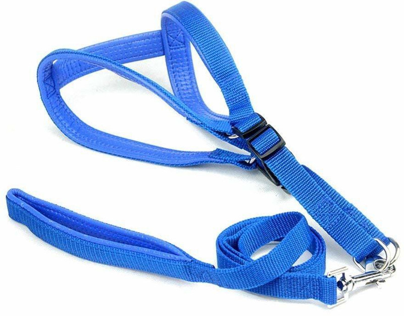 nd4ever Cat Standard Harness(Small, Blue)
