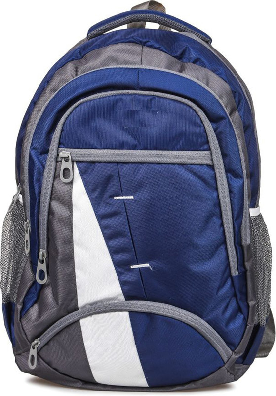 somy College Bags Travel Office School Unisex 25 L Backpack(Blue)