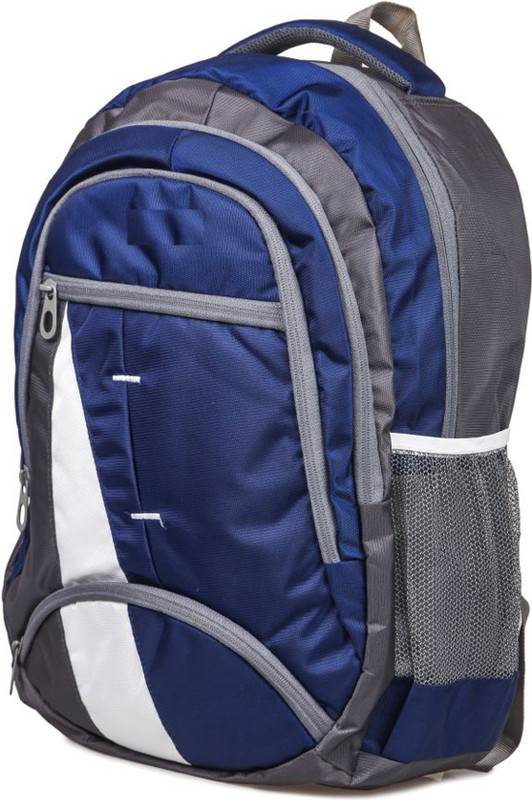 somy College Bags Travel Office School Unisex 25 L Laptop Backpack(Blue)