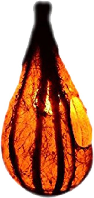 haastakitab LB-002 Decorative Showpiece  -  25 cm(Coir)