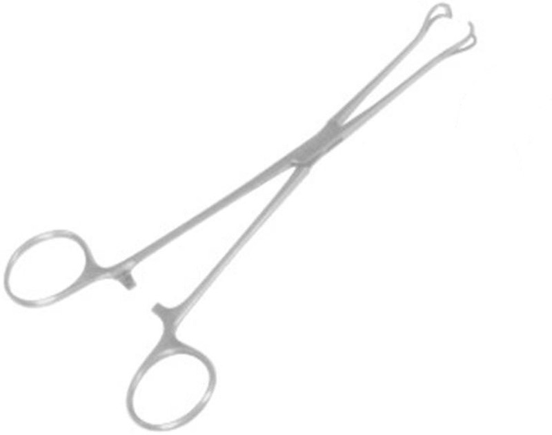 Agarwals Babcock Tissue Forcep 8" (Pack Of 1) Tissue Forceps