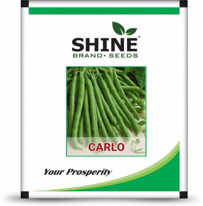 shine brand seeds POLE BEANS - CARLO (500 GM) Seed(500 per packet)