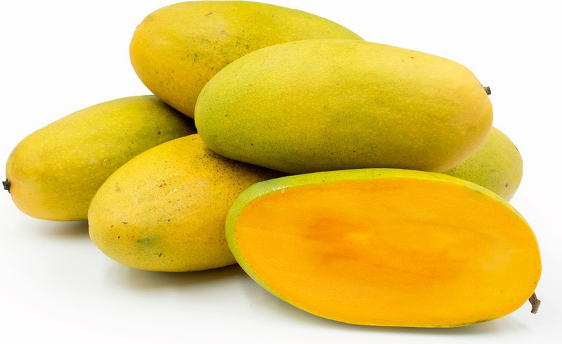 MaliaGarden Live Dasheri Mango Fruit Plant - Pack of 1 Plant In 4" Pot  Plant(No Pack of 1 Fruit)- Buy Online in United Arab Emirates at  desertcart.ae. ProductId : 138454498.