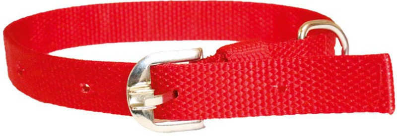 furryangels dog nylon leash and collar red ( size - small) 132.08 cm Dog Strap Leash(Red)