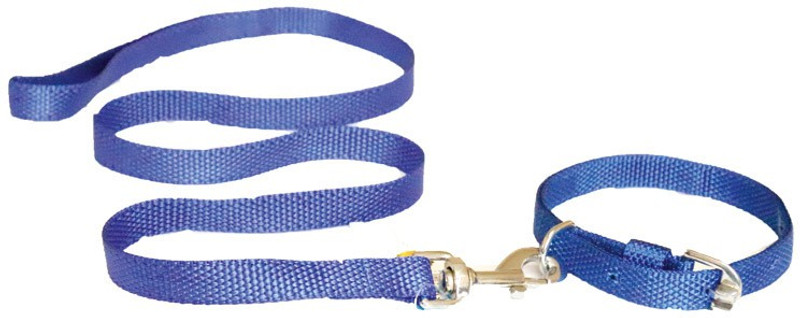 furryangels Dog nylon collar and leash set for small dogs - blue 132.08 cm Dog Strap Leash(Blue)