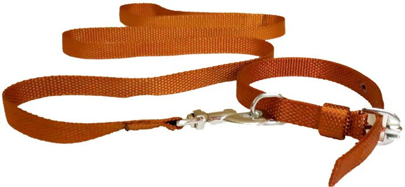 furryangels DLNSG 132.08 cm Dog Strap Leash(Gold)
