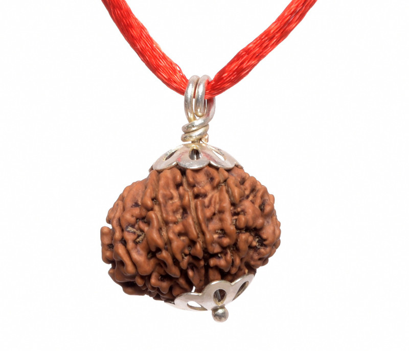 Parashara Arkam Silver Capped Eleven Mukhi Rudraksha Original Nepali 11 Mukhi Rudraksha With Silver Pendant And Detailed Puja And Wearing Instructions Wood Pendant Buy Online In India At Desertcart In Productid 153208184 It is believed to be highly powerful possessing 11 strengths of 11 deities. desertcart