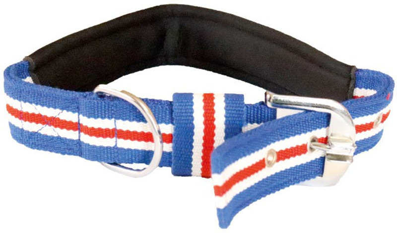 furryangels 2 XL for large and giant breeds Dog Collar & Chain(Extra Large, MULTI)