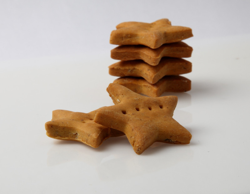 clever canine Starfish Nutritious Ocean Nibbles Sea Food Dog Treat(100 g)