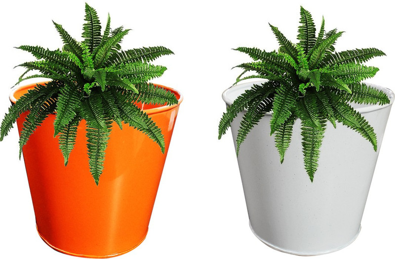 ascent homes Ascent Homes Metal Round Galvanized Bucket Planter (Set of 2 Pcs) Plant Container Set(Pack of 2, Metal)