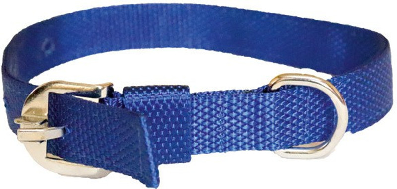 furryangels Nylon dog leash and collar medium size 139.07 cm Dog Strap Leash(Blue)