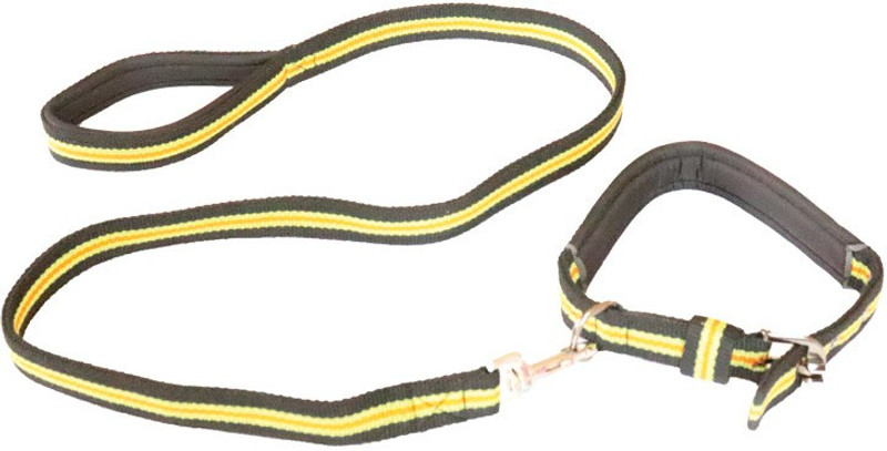 furryangels DLPXG Dog Collar & Chain(Extra Large, MULTI)