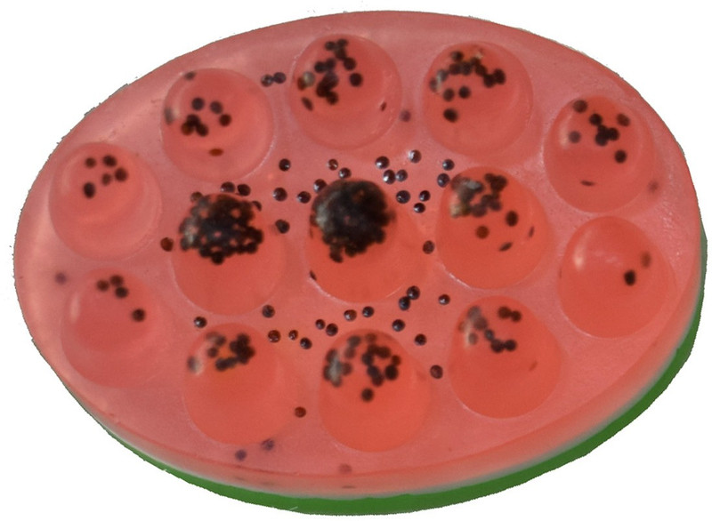 panchtatva natural organic handmade watermelon soap(2 x 130 g)