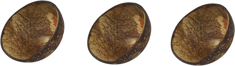 radhaswami enterprise Decorative Showpiece  -  10 cm(Wood)