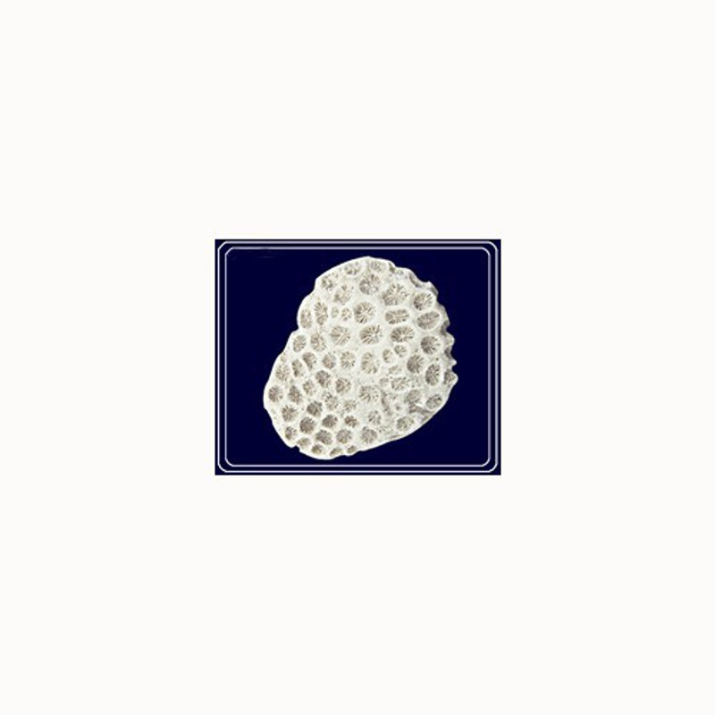 shaligram shala Sarvottam Radha Krishna Paduka Dwarka Shila Decorative Showpiece  -  4.7 cm(Stone)