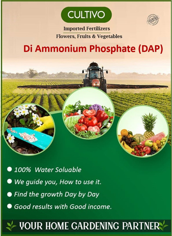 cultivo Di Ammonium Phosphate (DAP)- Soil Manure(100 g Granules)