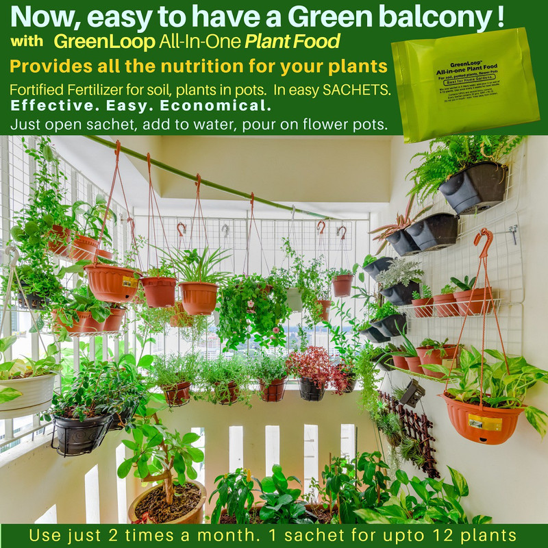 greenloop All-In-One PLANT FOOD GreenLoop10 Soil Manure(20 g Powder)