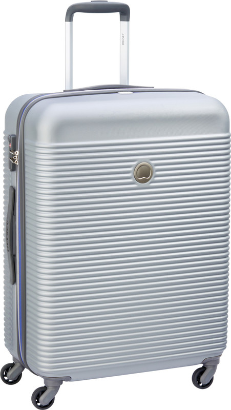 Delsey Kariba Check-in Luggage - 26 inch(Silver)
