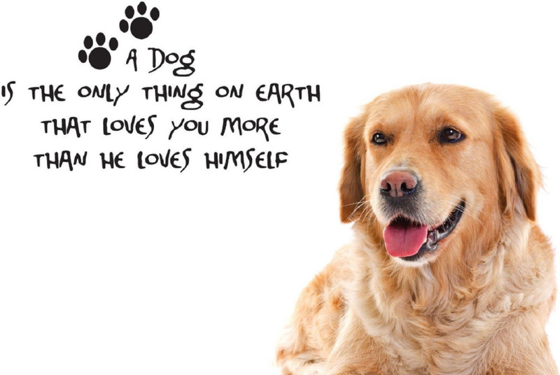 DOGS Photographic Paper(8 inch X 11 inch, PLAIN)