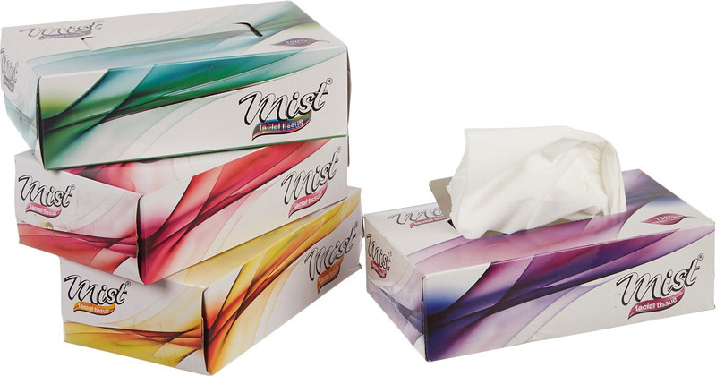mist Ultra Soft White 2 Ply Face Tissue - 100 pulls(Pack of 400)