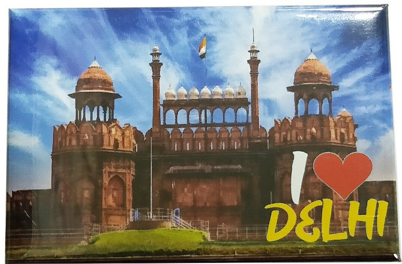 sahi pakde hain Delhi fridge magnet Fridge Magnet Pack of 1(Beige)