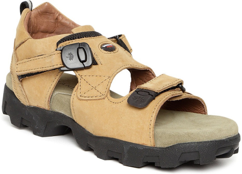 Buy Woodland Men Brown Sandals Online 