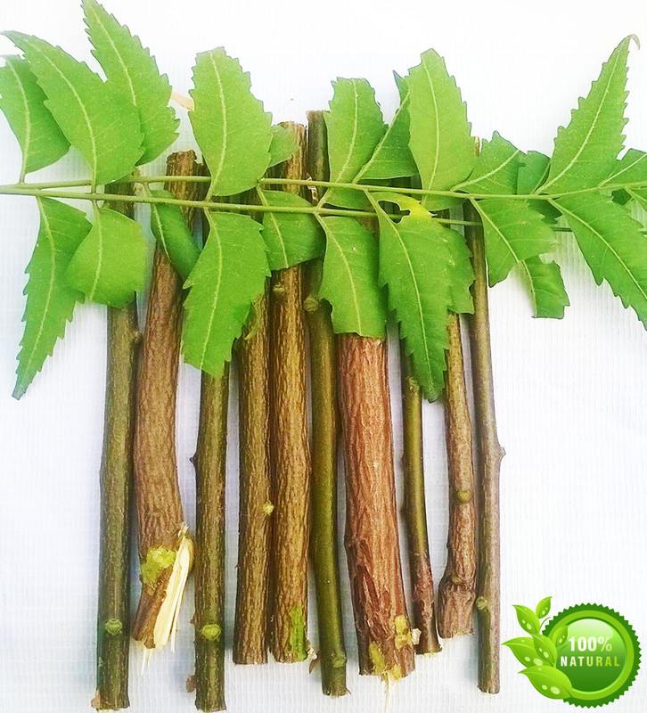 buy neem twigs online