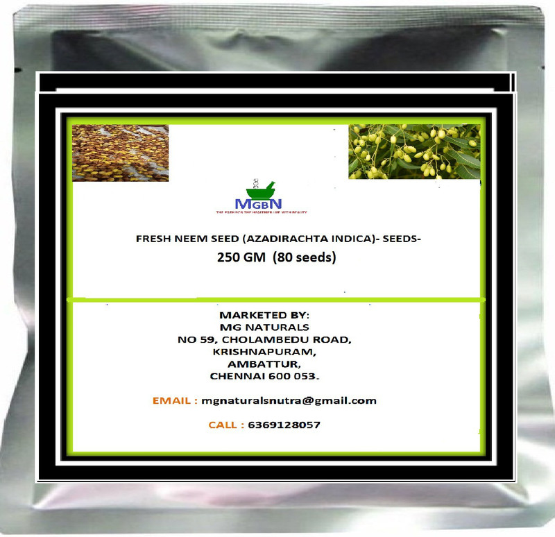 mgbn FRESH NEEM SEED (AZADIRACHTA INDICA)- SEEDS- Seed(80 per packet)