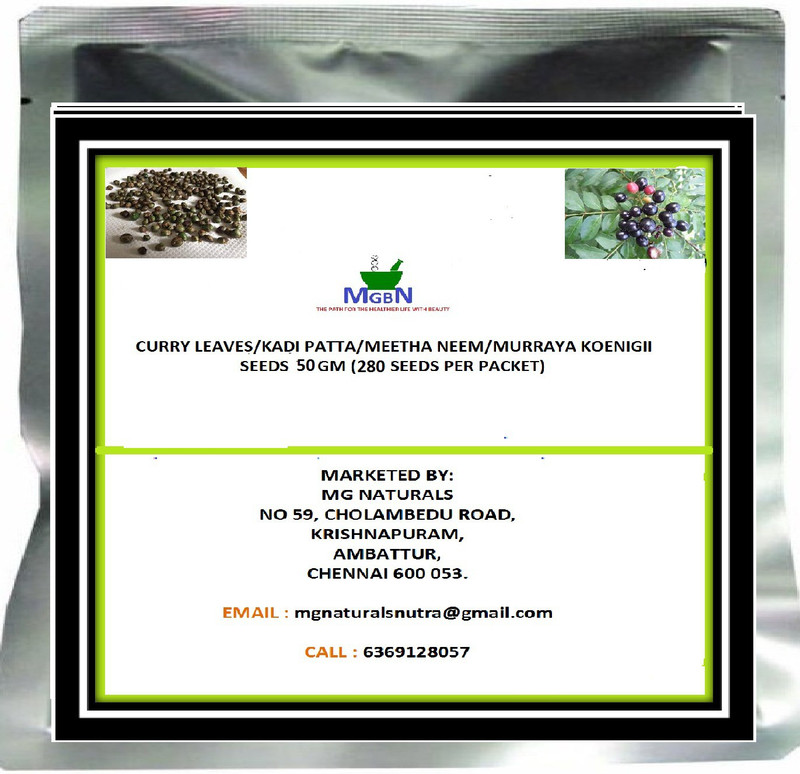 mgbn CURRY LEAVES/KADI PATTA/MEETHA NEEM/MURRAYA KOENIGII SEEDS Seed(280 per packet)