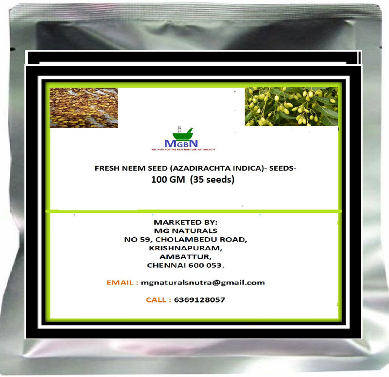 mgbn FRESH NEEM SEED (AZADIRACHTA INDICA)- SEEDS- Seed(35 per packet)