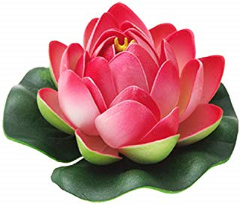 dannyboyzs Artificial Water Floating Lotus Home Red Assorted Artificial Flower(7 inch, Pack of 1)
