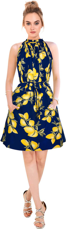 pahervesh Women Fit and Flare Multicolor Dress