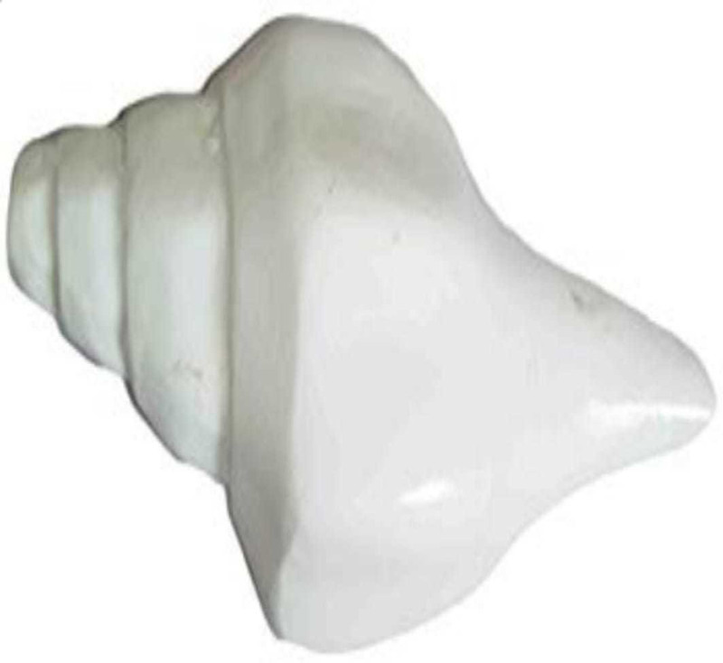 av craft shankh pooja Decorative Shankh(White)