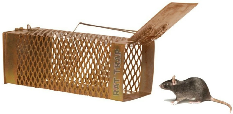 Rattrap Iron Cage Live Trap