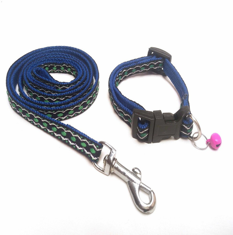 dogsbuzz Collar & Leash for small puppies (0.5 inch B, 122 cm L) Blue Dog Collar & Chain(Small, Blue)