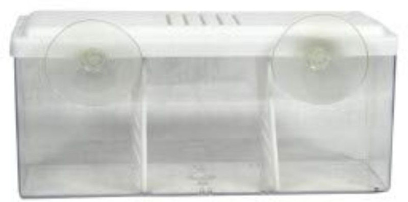 tuba Breeding Box Aquarium Tank Divider