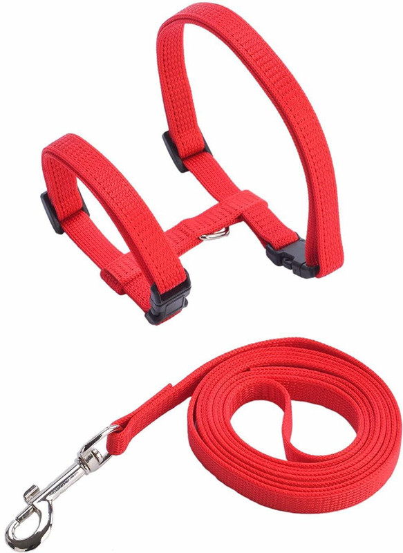 Futurekart Cat Collar & Chain(Small, Red)
